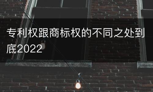专利权跟商标权的不同之处到底2022