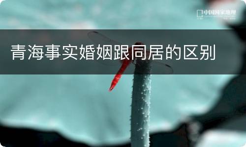 青海事实婚姻跟同居的区别