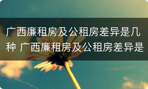 广西廉租房及公租房差异是几种 广西廉租房及公租房差异是几种类型