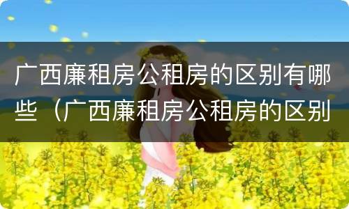 广西廉租房公租房的区别有哪些（广西廉租房公租房的区别有哪些地方）