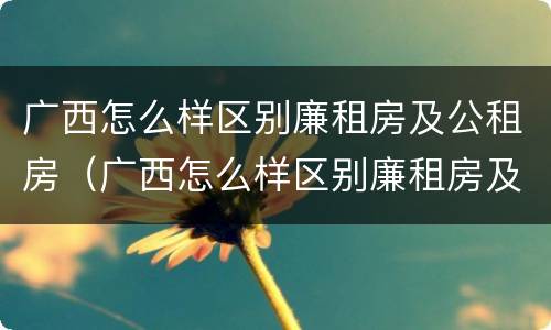 广西怎么样区别廉租房及公租房（广西怎么样区别廉租房及公租房呢）
