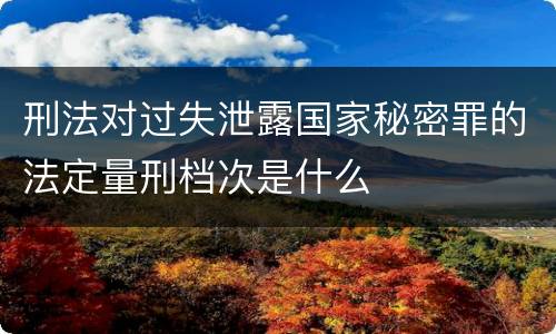 刑法对过失泄露国家秘密罪的法定量刑档次是什么