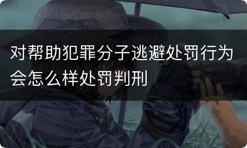 对帮助犯罪分子逃避处罚行为会怎么样处罚判刑