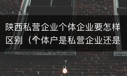 陕西私营企业个体企业要怎样区别（个体户是私营企业还是民营企业）