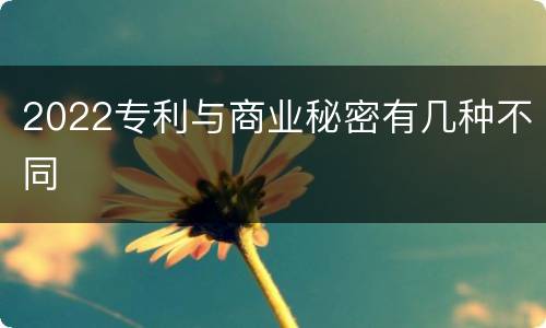 2022专利与商业秘密有几种不同