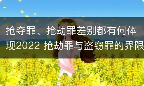 抢夺罪、抢劫罪差别都有何体现2022 抢劫罪与盗窃罪的界限