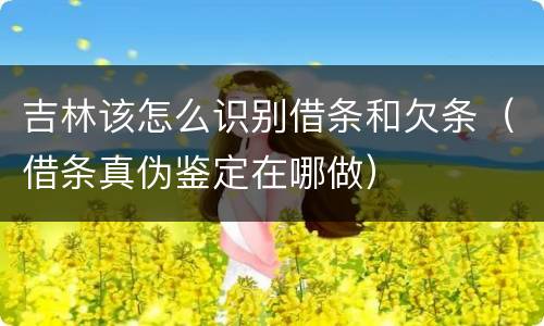 吉林该怎么识别借条和欠条（借条真伪鉴定在哪做）