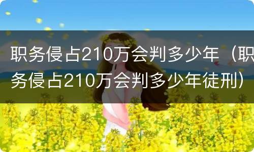 职务侵占210万会判多少年（职务侵占210万会判多少年徒刑）