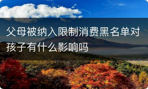 父母被纳入限制消费黑名单对孩子有什么影响吗