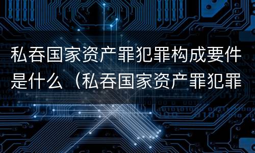 私吞国家资产罪犯罪构成要件是什么（私吞国家资产罪犯罪构成要件是什么意思）