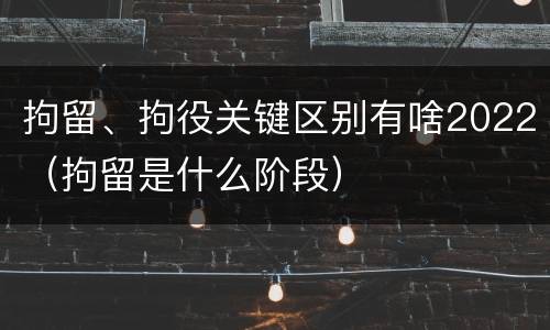 拘留、拘役关键区别有啥2022（拘留是什么阶段）