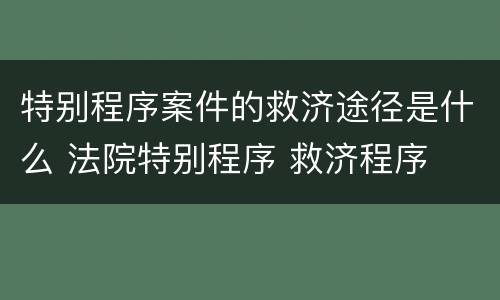 特别程序案件的救济途径是什么 法院特别程序 救济程序