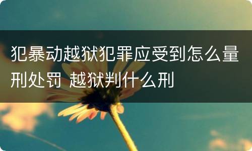 犯暴动越狱犯罪应受到怎么量刑处罚 越狱判什么刑