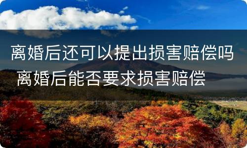 离婚后还可以提出损害赔偿吗 离婚后能否要求损害赔偿