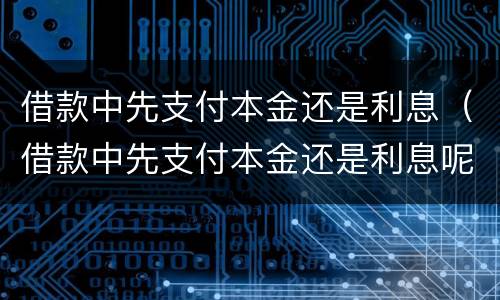 借款中先支付本金还是利息（借款中先支付本金还是利息呢）