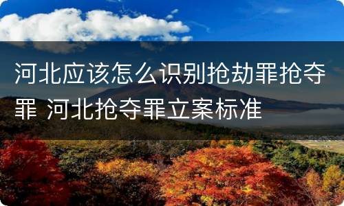 河北应该怎么识别抢劫罪抢夺罪 河北抢夺罪立案标准