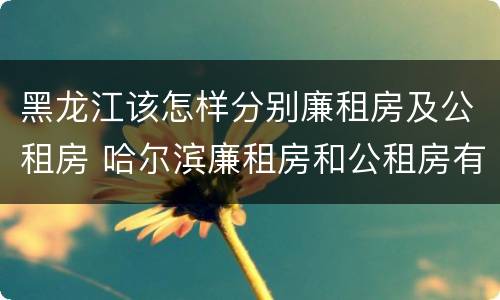 黑龙江该怎样分别廉租房及公租房 哈尔滨廉租房和公租房有什么区别