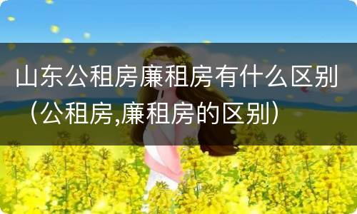 山东公租房廉租房有什么区别（公租房,廉租房的区别）