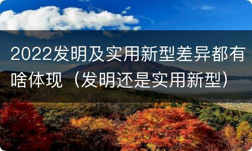 2022发明及实用新型差异都有啥体现（发明还是实用新型）