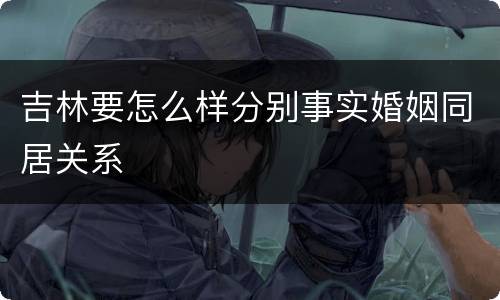 吉林要怎么样分别事实婚姻同居关系