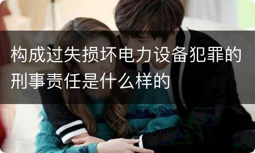 构成过失损坏电力设备犯罪的刑事责任是什么样的