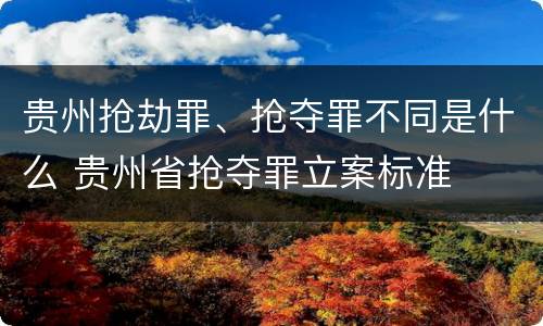 贵州抢劫罪、抢夺罪不同是什么 贵州省抢夺罪立案标准