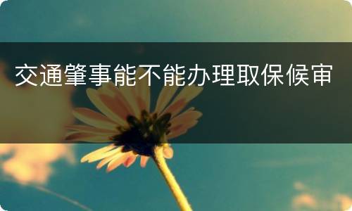 交通肇事能不能办理取保候审