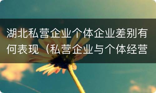 湖北私营企业个体企业差别有何表现（私营企业与个体经营企业的区别）