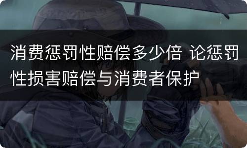 消费惩罚性赔偿多少倍 论惩罚性损害赔偿与消费者保护