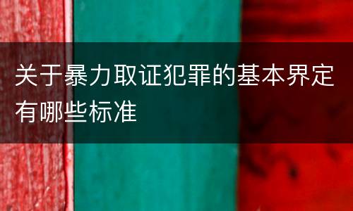 关于暴力取证犯罪的基本界定有哪些标准