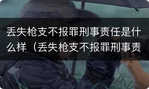 丢失枪支不报罪刑事责任是什么样（丢失枪支不报罪刑事责任是什么样的）