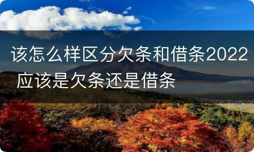 该怎么样区分欠条和借条2022 应该是欠条还是借条