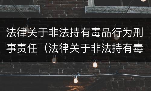 法律关于非法持有毒品行为刑事责任（法律关于非法持有毒品行为刑事责任的规定）