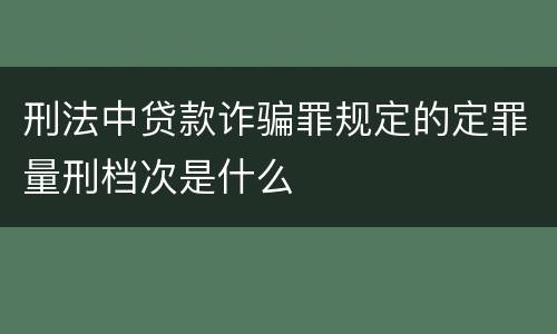 刑法中贷款诈骗罪规定的定罪量刑档次是什么