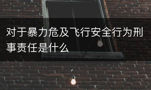 对于暴力危及飞行安全行为刑事责任是什么
