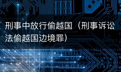 刑事中放行偷越国（刑事诉讼法偷越国边境罪）