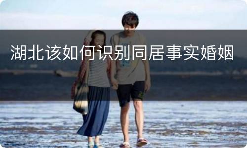 湖北该如何识别同居事实婚姻