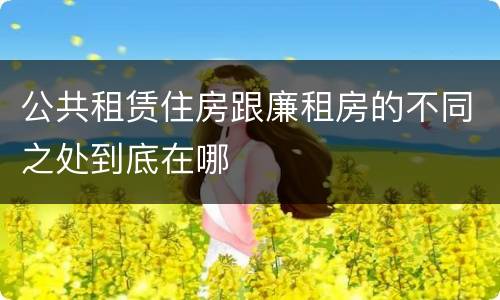 公共租赁住房跟廉租房的不同之处到底在哪