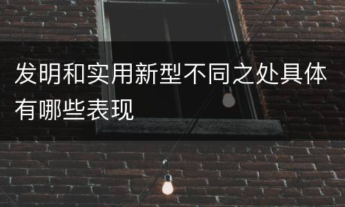 发明和实用新型不同之处具体有哪些表现