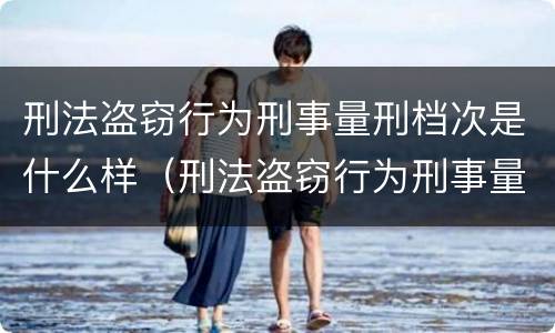 刑法盗窃行为刑事量刑档次是什么样（刑法盗窃行为刑事量刑档次是什么样子的）