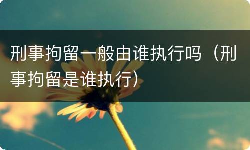 刑事拘留一般由谁执行吗（刑事拘留是谁执行）