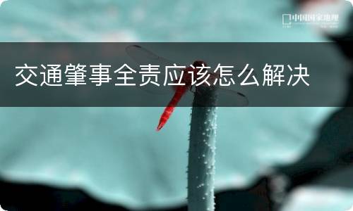 交通肇事全责应该怎么解决