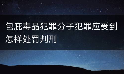 包庇毒品犯罪分子犯罪应受到怎样处罚判刑