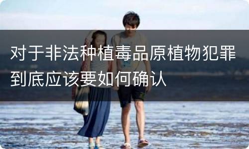 对于非法种植毒品原植物犯罪到底应该要如何确认