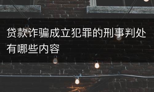 贷款诈骗成立犯罪的刑事判处有哪些内容