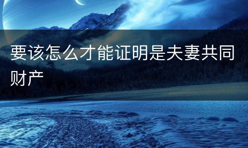 要该怎么才能证明是夫妻共同财产