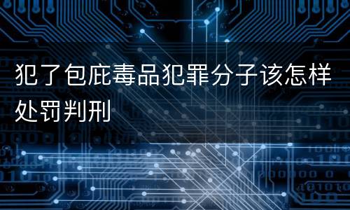 犯了包庇毒品犯罪分子该怎样处罚判刑