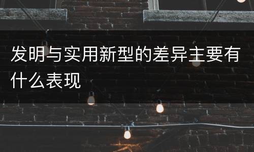 发明与实用新型的差异主要有什么表现