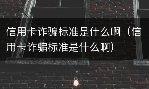 信用卡诈骗标准是什么啊（信用卡诈骗标准是什么啊）