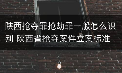 陕西抢夺罪抢劫罪一般怎么识别 陕西省抢夺案件立案标准